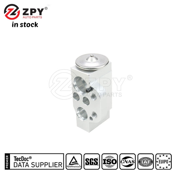 ZPY New Hight Quality Warranty Expansion Valve For VW Jetta 1K0820679